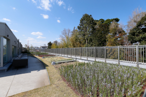 2021年度グッドデザイン賞 ダブル受賞のサブ画像8_隣接する公園とみどりでつながる屋上庭園