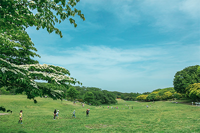 「レーベン横浜山手 ONE WARD COURT」販売開始のお知らせのサブ画像12_根岸森林公園