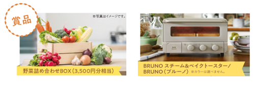 おいしい暮らし応援！「神奈川県産野菜の詰め合わせBOX」が当たる2つのキャンペーンを同時に実施のサブ画像1