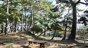 「レーベン鵠沼海岸BLUENOVA」販売開始のお知らせのサブ画像8_鵠沼松が岡公園
