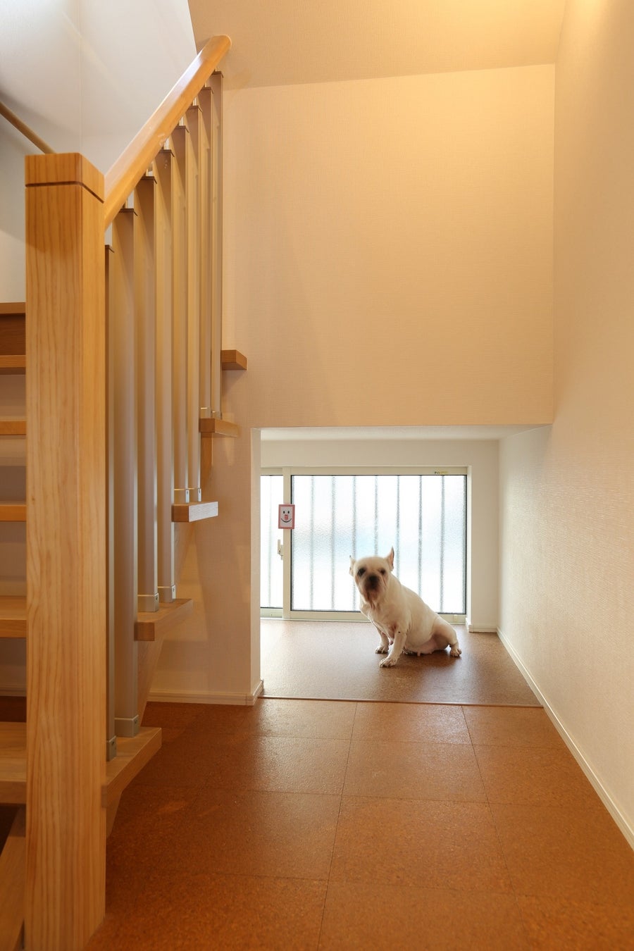 11月1日は「犬の日」　愛犬と安全に健康に快適に暮らせる家は、人にも優しい「高気密・高断熱」の家でしたのサブ画像6