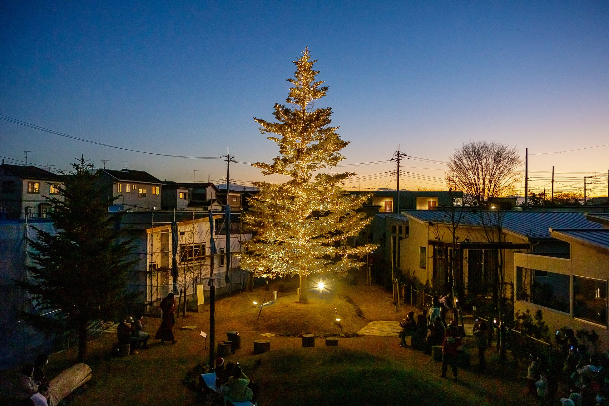 モミの木と‟とき“を楽しむ平屋の街　グッドデザイン賞2022　受賞のサブ画像3_クリスマス時期の点灯式の様子