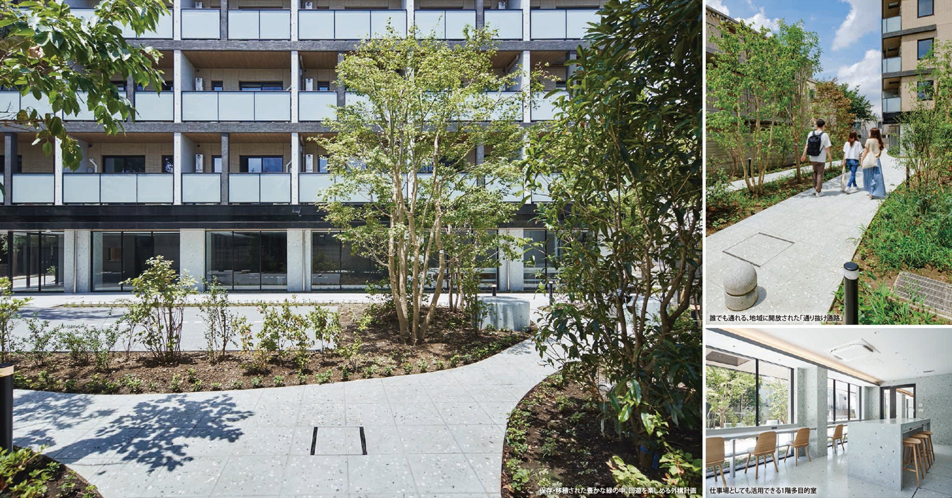 デュアルタップの開発マンション「集合住宅 コンフォリア北沢」 が「2022年度グッドデザイン賞」を受賞のサブ画像2