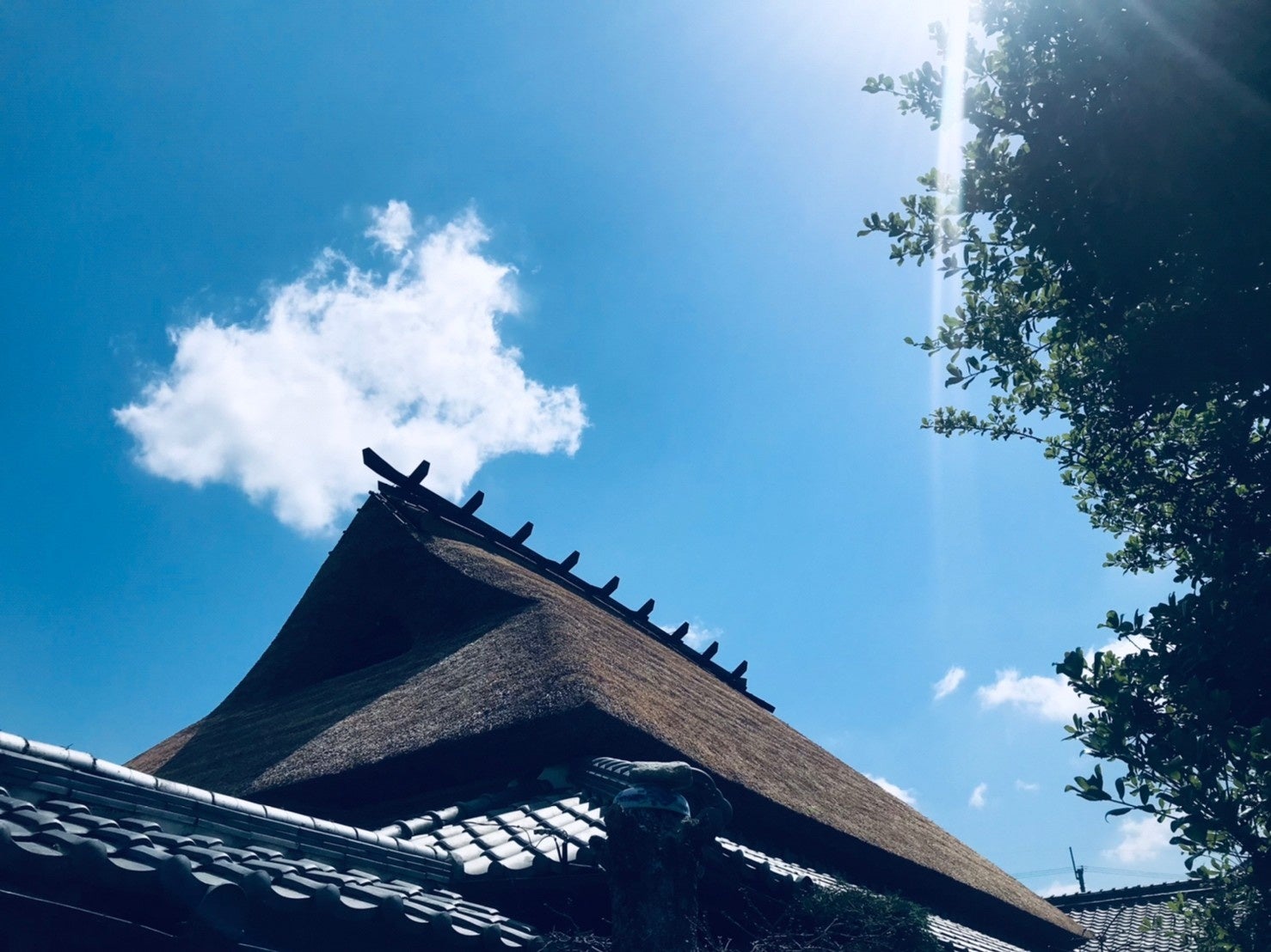 築300年を超える大庄屋の屋根を葺き替え、黄金色にのサブ画像2_T邸（神戸市西区）