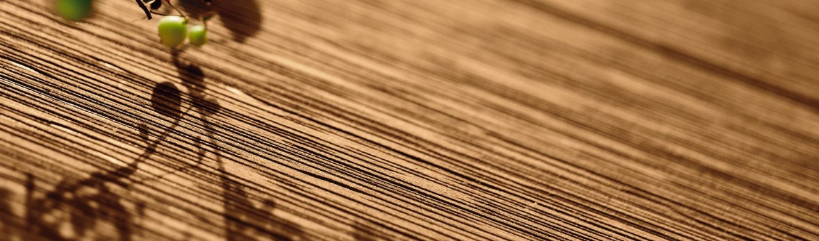 天然木の質感と木目柄を再現「リウッドデッキ 200 EG」発売のサブ画像2_高級家具に使用される硬木調の木肌を再現