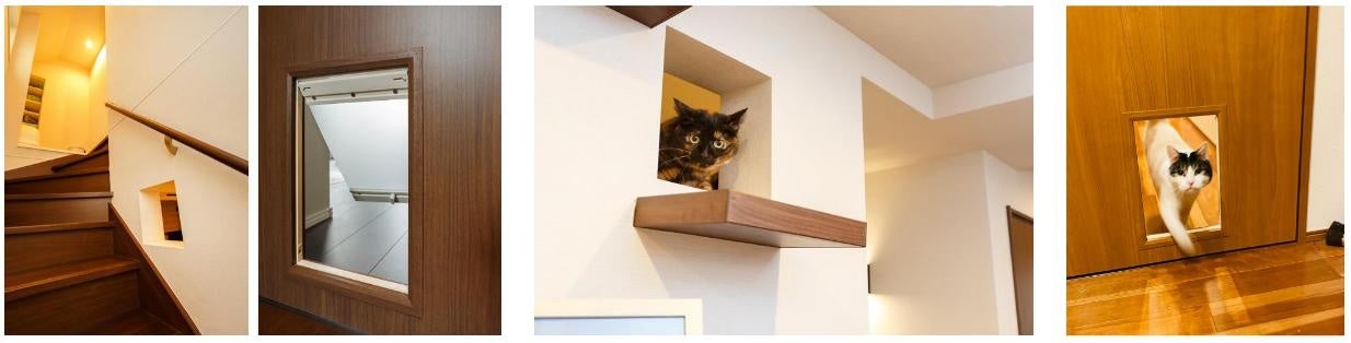 猫の日の猫による猫のための家調査のサブ画像4