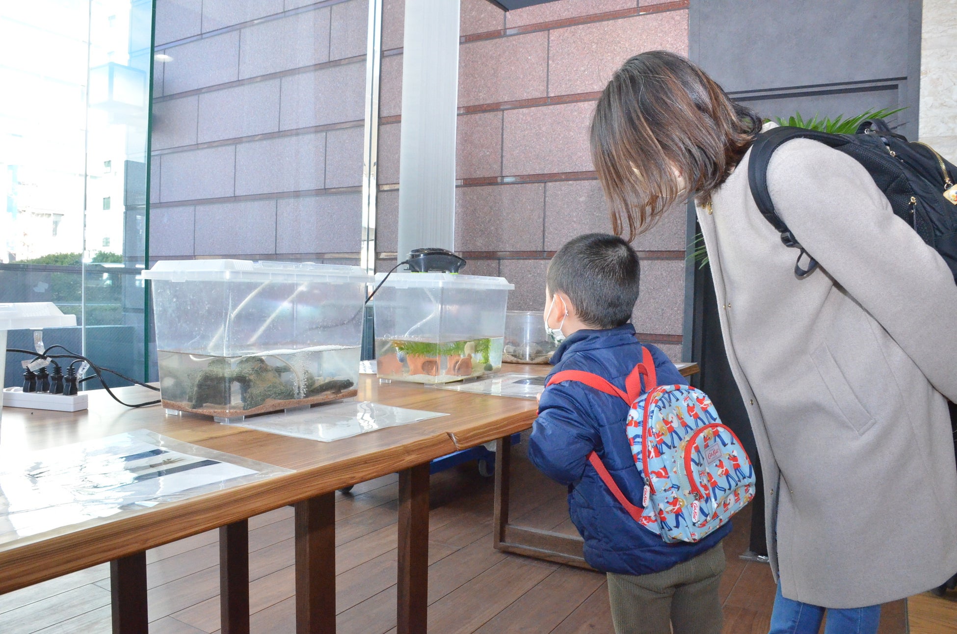 横浜市立鶴見小学校の総合学習授業に協力のサブ画像6_鶴見川に生息する生き物を紹介