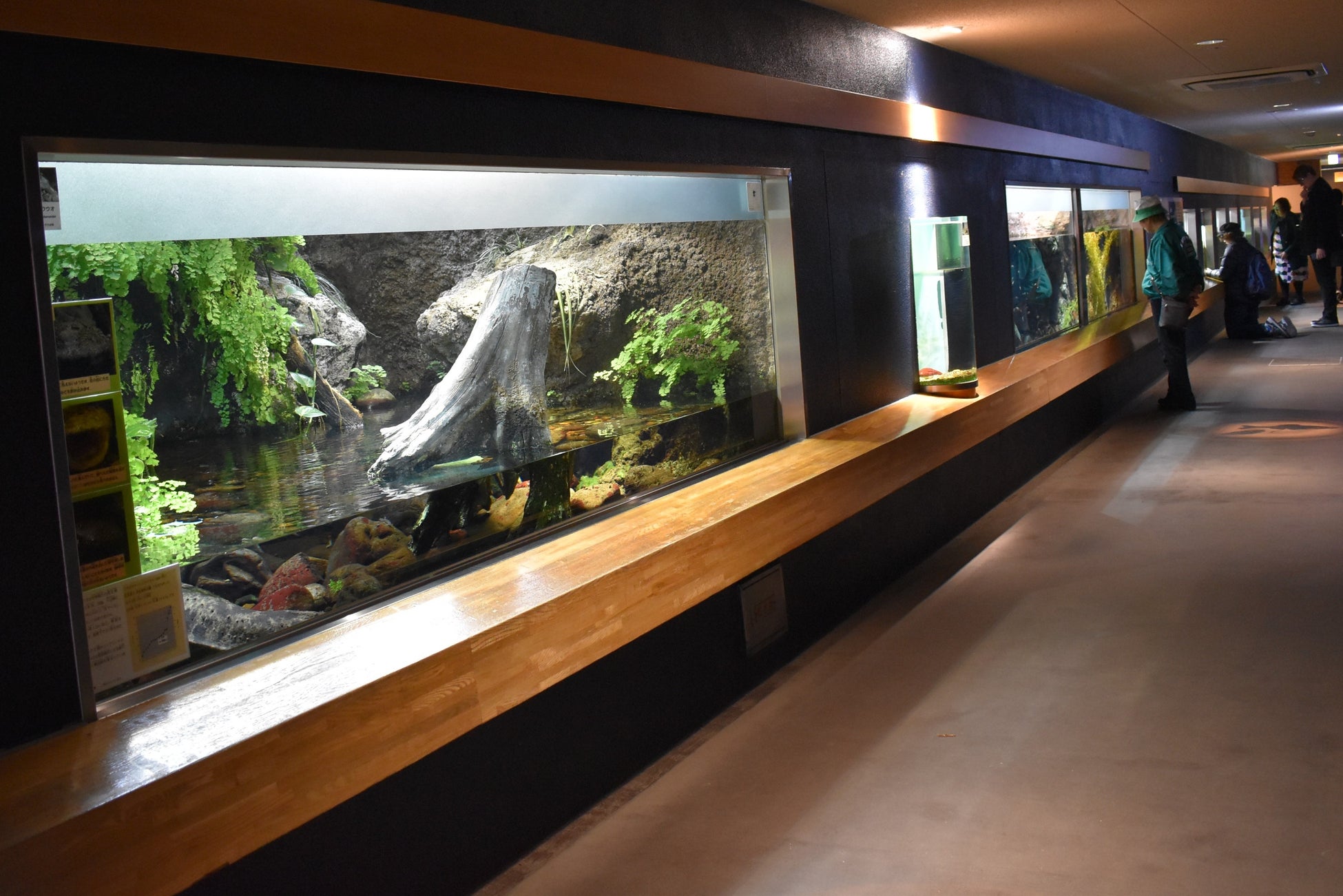 LIFULL HOME'S「年パスで通える水族館のある家賃が安い駅ランキング（東京編）」のサブ画像5_提供：公益財団法人東京動物園協会