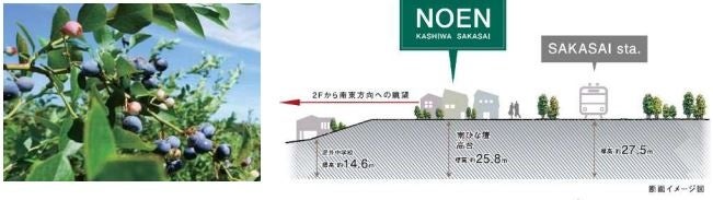千葉県柏市逆井に、グリーンクリエイター、YKK AP(株)とコラボし、 森の中で暮らす別荘のような 8 棟の分譲地 「NOEN(ノエン)柏・逆井」を開発のサブ画像3