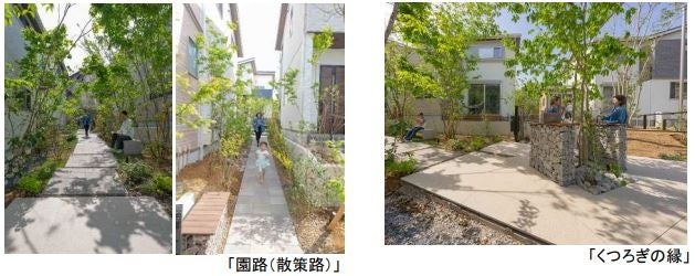 千葉県柏市逆井に、グリーンクリエイター、YKK AP(株)とコラボし、 森の中で暮らす別荘のような 8 棟の分譲地 「NOEN(ノエン)柏・逆井」を開発のサブ画像5