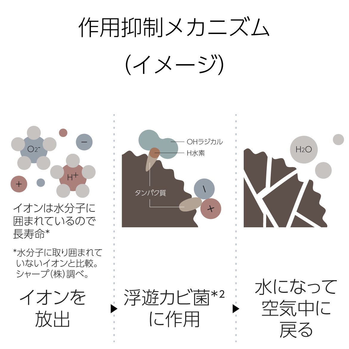 公式ストア限定　食器洗い乾燥機ステンレスドア　Prime発売のサブ画像8_作用メカニズム（イメージ）