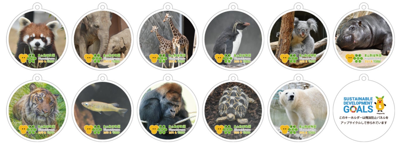 東山動植物園の動物を、使用済みの飛沫防止パネルで魅力的に！のサブ画像2