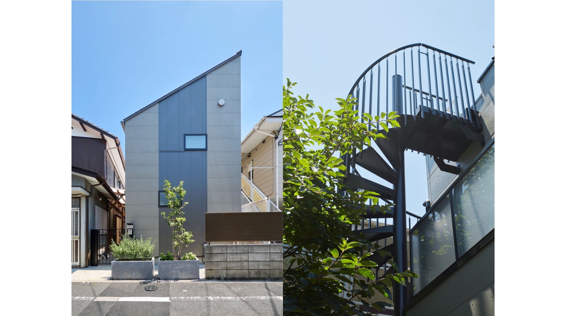 株式会社memoが提案する「ペットとの快適な暮らし」東京の狭小地に建つペット共生住宅をworksに追加のサブ画像2
