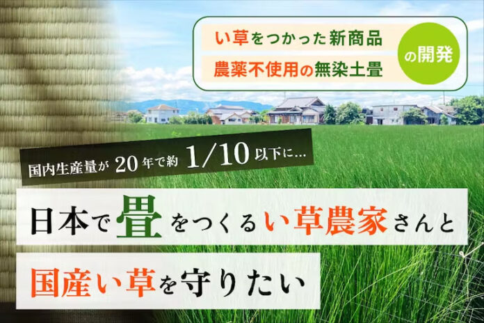 畳の原料『い草』の国内生産量が1/10以下に。アートリフォームグループが、京都さかえ畳店を中心に日本で畳を作る い草農家と国産い草を守るためのプロジェクトを開始。のメイン画像