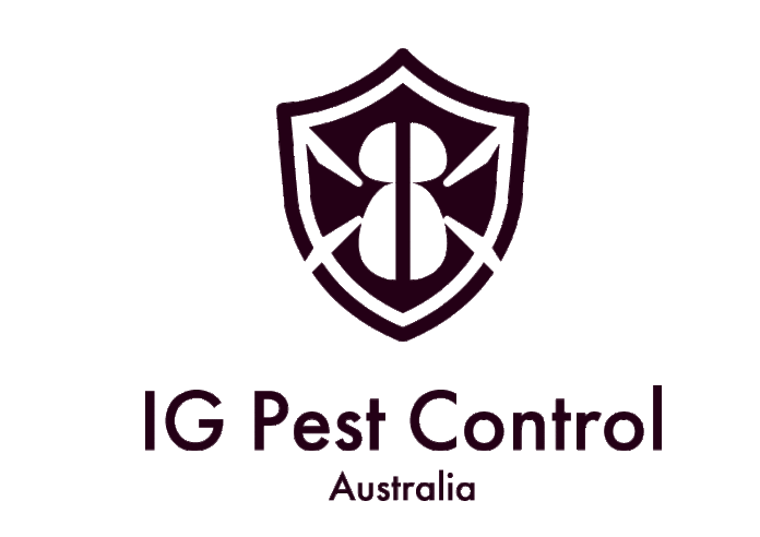 125年続くシロアリ防除のノウハウを世界へ。初の海外拠点「IG Pest Control Australia」立ち上げのメイン画像