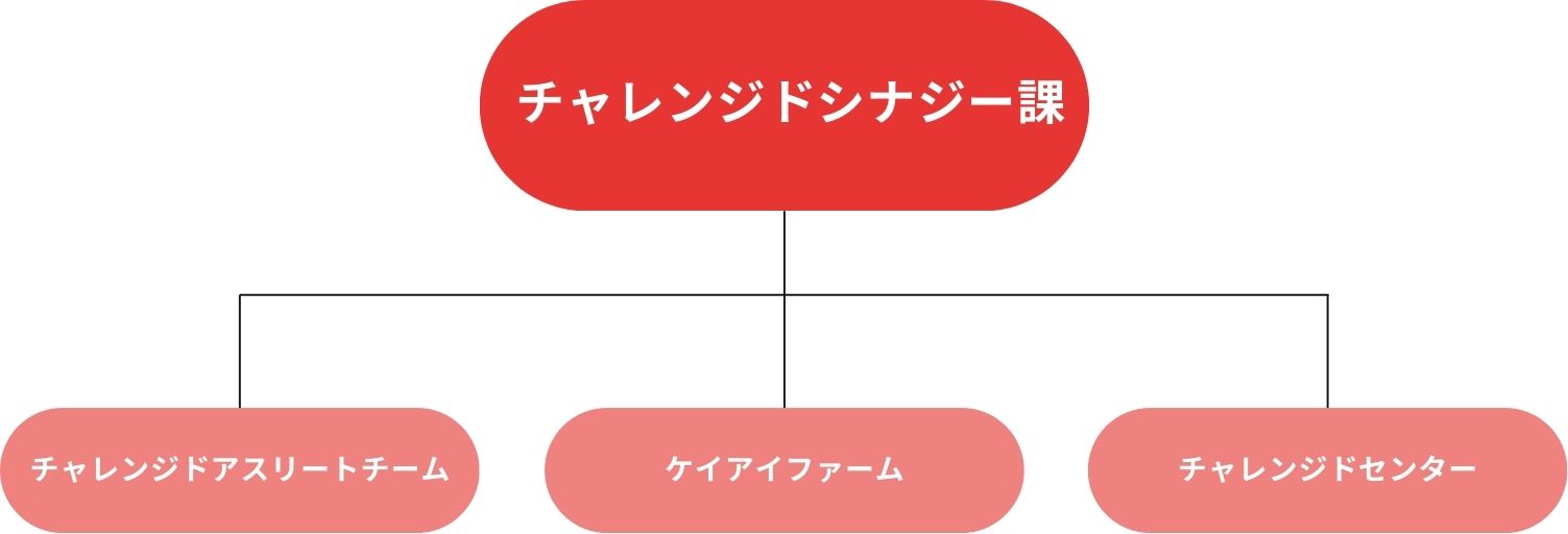 障がい者雇用率2.66％を達成 法定雇用率を上回るのサブ画像2