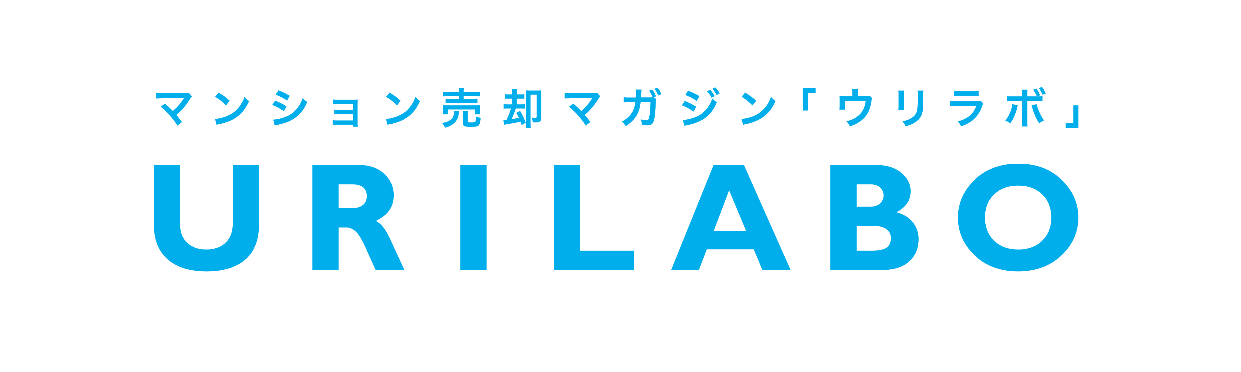 スター・マイカグループが「2024年全社一斉清掃イベント」を実施のサブ画像5