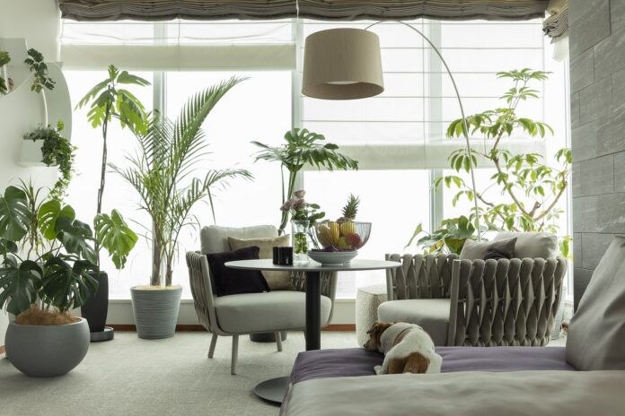 東急Ｒｅ・デザインのマンションリノベーション事業 『モダンリビング』との共同プロジェクトを開始のメイン画像