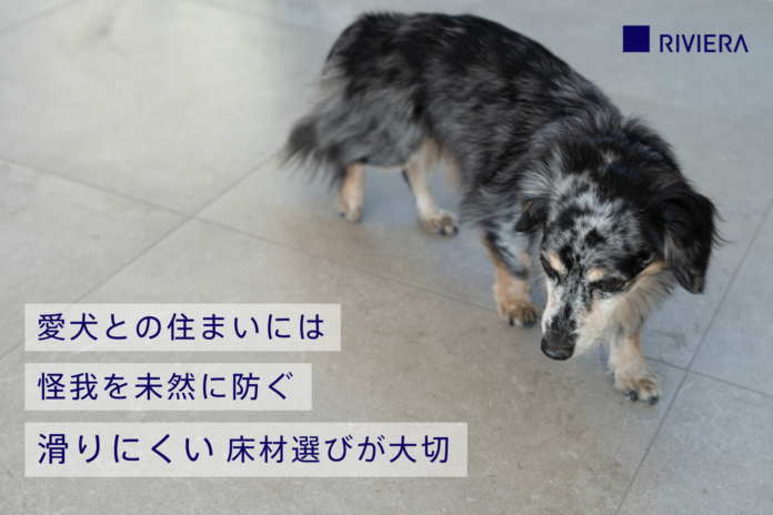 小型犬の安全を守る基準 滑りにくい内装タイル床材の指標を新た導入のメイン画像