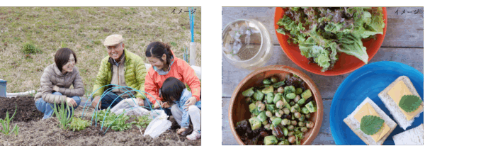 ～東急不動産のマンション居住者に農業体験プロジェクト～都市と地域をつなぐ「BRANZオーナーズファーム」開始のメイン画像