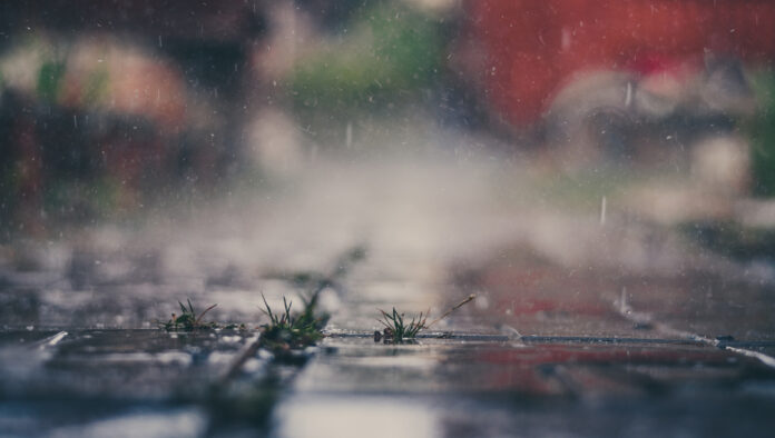 【梅雨対策】カビを増やさない、健康に毎日を過ごすテクニック紹介のメイン画像