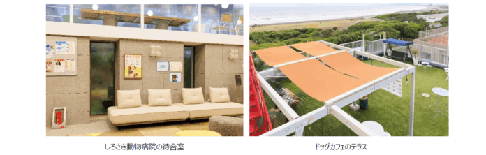 TBSテレビ 火曜ドラマ 『初恋DOGs』の撮影セットに美術協力のメイン画像