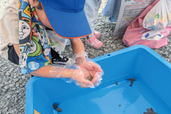 夏の思い出を彩る2日間 「赤鹿夏祭り2025」を姫路市広畑区才の分譲地で開催！のメイン画像