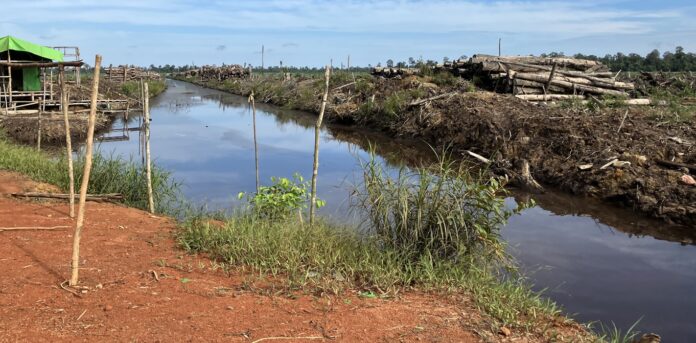 【12/10(水)セミナー】 インドネシアの森林破壊と日本のサプライチェーンのメイン画像