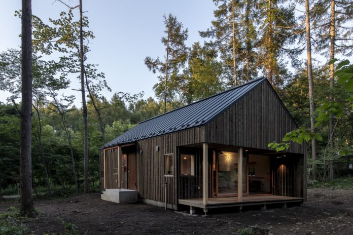 ～山林にそっと佇む平屋～　長野の“大工アーティスト”がつくる、日本離れした美しい住まいを公開のメイン画像