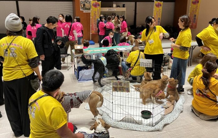 保護犬・保護猫団体へ総額160万円を寄付のメイン画像