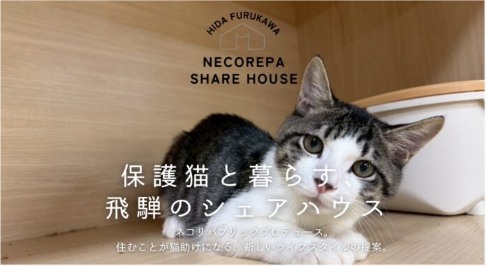 【岐阜県飛騨市】「猫と暮らす」が「猫助け」になる。保護猫8匹と人間5人が家族になる「ネコリパシェアハウス」入居者募集開始！〜空き家活用で猫と人の新しい共生モデル〜のメイン画像