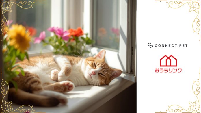 【オープンハウスグループ】おうちリンク、2月22日「猫の日」より保護猫と豊かに暮らせる社会貢献型インフラサービスを開始のメイン画像