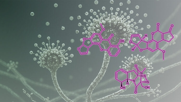 ナノイー（帯電微粒子水）技術が、人体に有害なマイコトキシン（カビ毒）を不活化のメイン画像