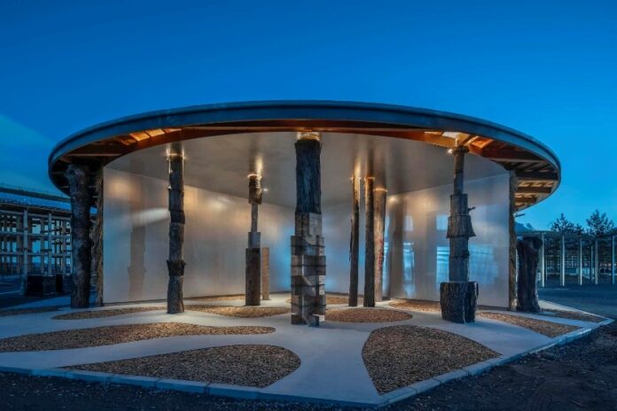 大阪・関西万博からおかえりなさい！大阪・関西万博から団地の樹木が帰ってきます！～３月25日（水） 泉北パークヒルズ竹城台でおかえりイベント開催～のメイン画像