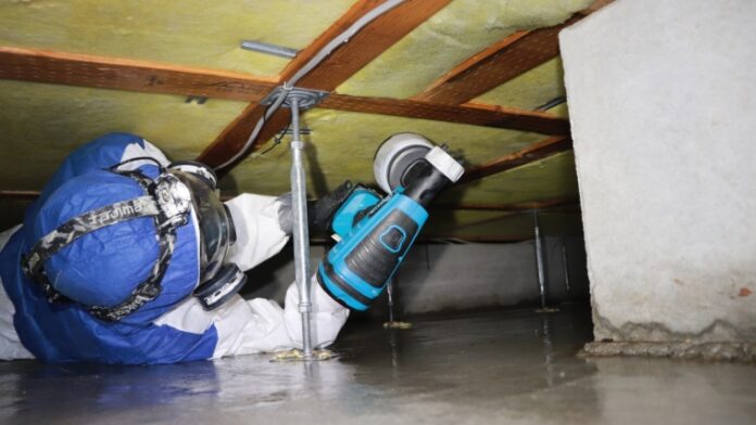 特殊清掃をはじめとする「衛生復旧サービス」の全施工にリアルタイム遠隔確認システム「現場見守る君」を導入（2026年3月1日より適用開始）のメイン画像