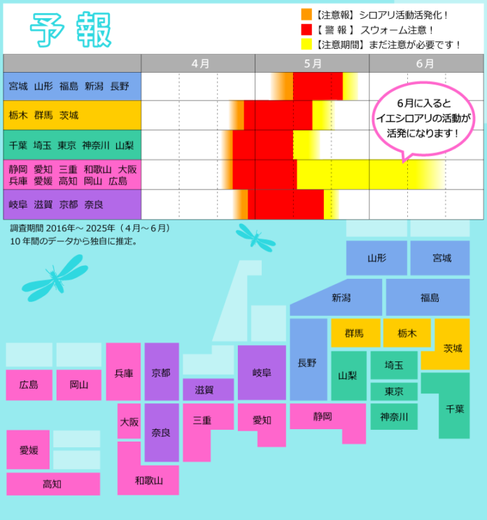 アサンテ独自の取り組み「シロアリ注意報」をHPで公開！羽アリを見つけたら我が家にシロアリ被害あり！？今年の羽アリのスウォーム(群飛)は平年よりやや早い見込みのメイン画像