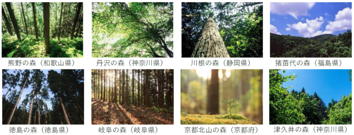 社有林の水源かん養機能により「ウォーターポジティブ」を実現のメイン画像