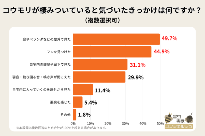 【リアル調査】コウモリを見かけたら、実は自宅に棲みついていた！被害の実態をリサーチのメイン画像